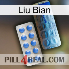 Liu Bian 40